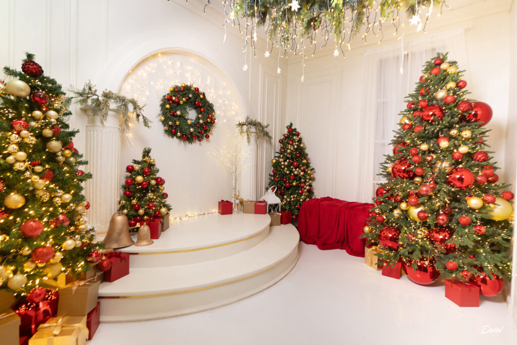 Sesiones de fotos de navidad en Estudio de fotos en Santo Domingo