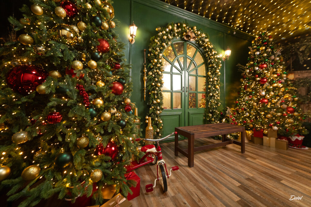 Sesiones de fotos de navidad en Estudio de fotos en Santo Domingo